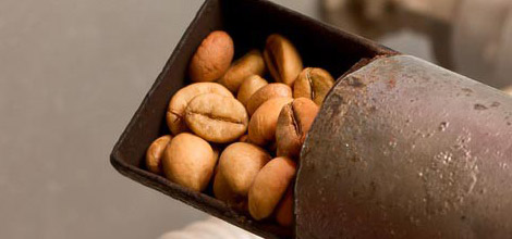 R&ouml;stade b&ouml;nor &ndash; m&ouml;rkare rostningar inneh&aring;ller mindre koffein