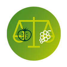 Frukt och gr&ouml;nsaker