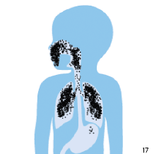Mask med ordentlig t&auml;tning
