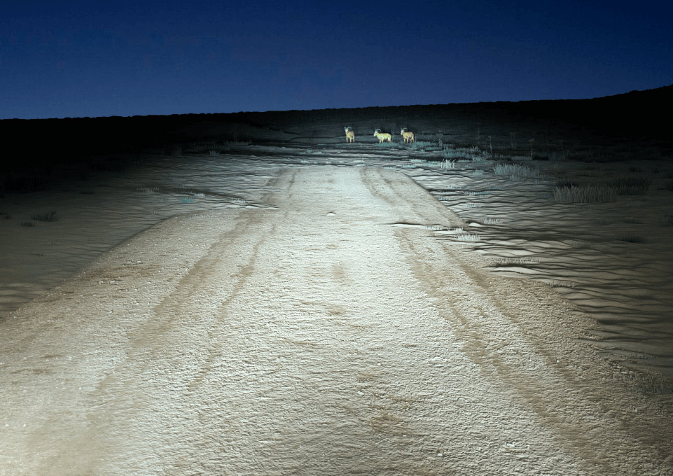 Ultinon pro 6000 standard road