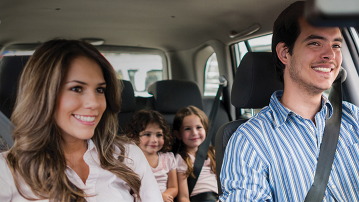 F&aring; bort hundh&aring;r i bilen