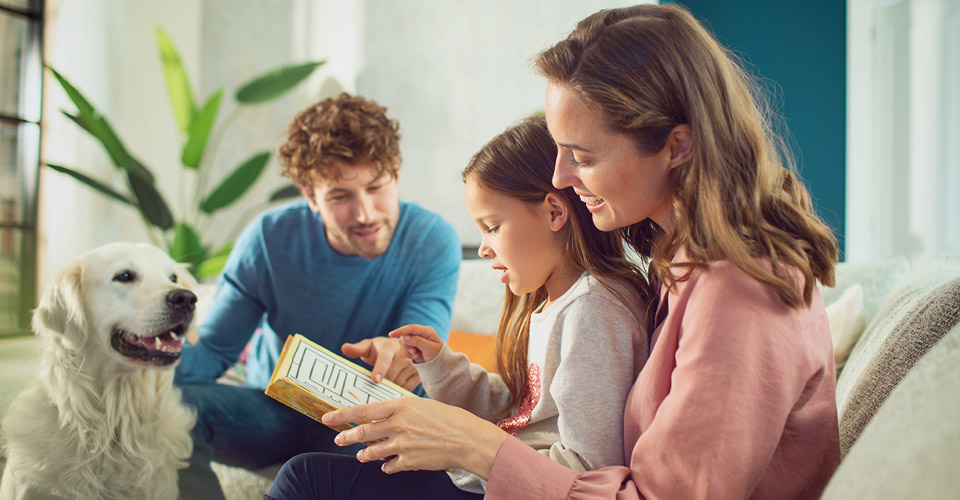 Praktiska r&aring;d f&ouml;r att reducera husdjursallergen: R&aring;d f&ouml;r att lindra din allergi