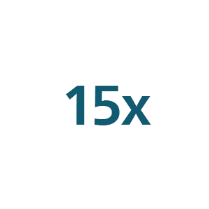 15x-ikon