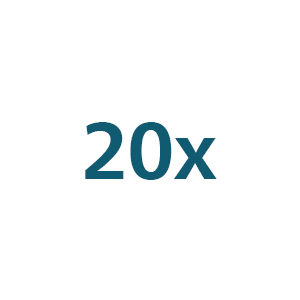 20x-ikon