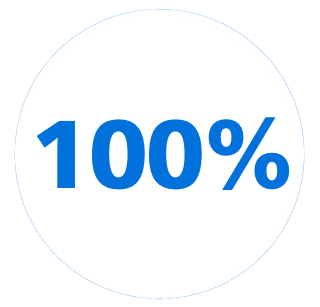 100&nbsp;%-ikon
