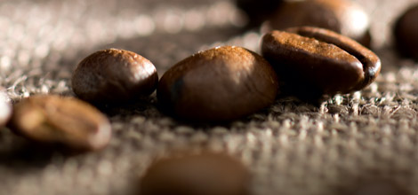 Det finns &ouml;ver 50 olika kaffearter