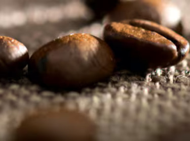 Organiska kaffebönor