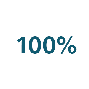 100&nbsp;%-ikon